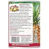 Native-Forest-Organic-Pineapple-Chunks-14-Ounce-Cans-Pack-of-6 Native Forest Organic Pineapple Chunks, 14 Ounce Cans (Pack of 6)