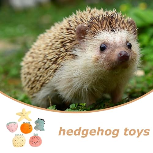 Hedgehog trate brinquedo, brinquedos de hedgehog para gaiola | 6x brinquedos interativos de ouriço d