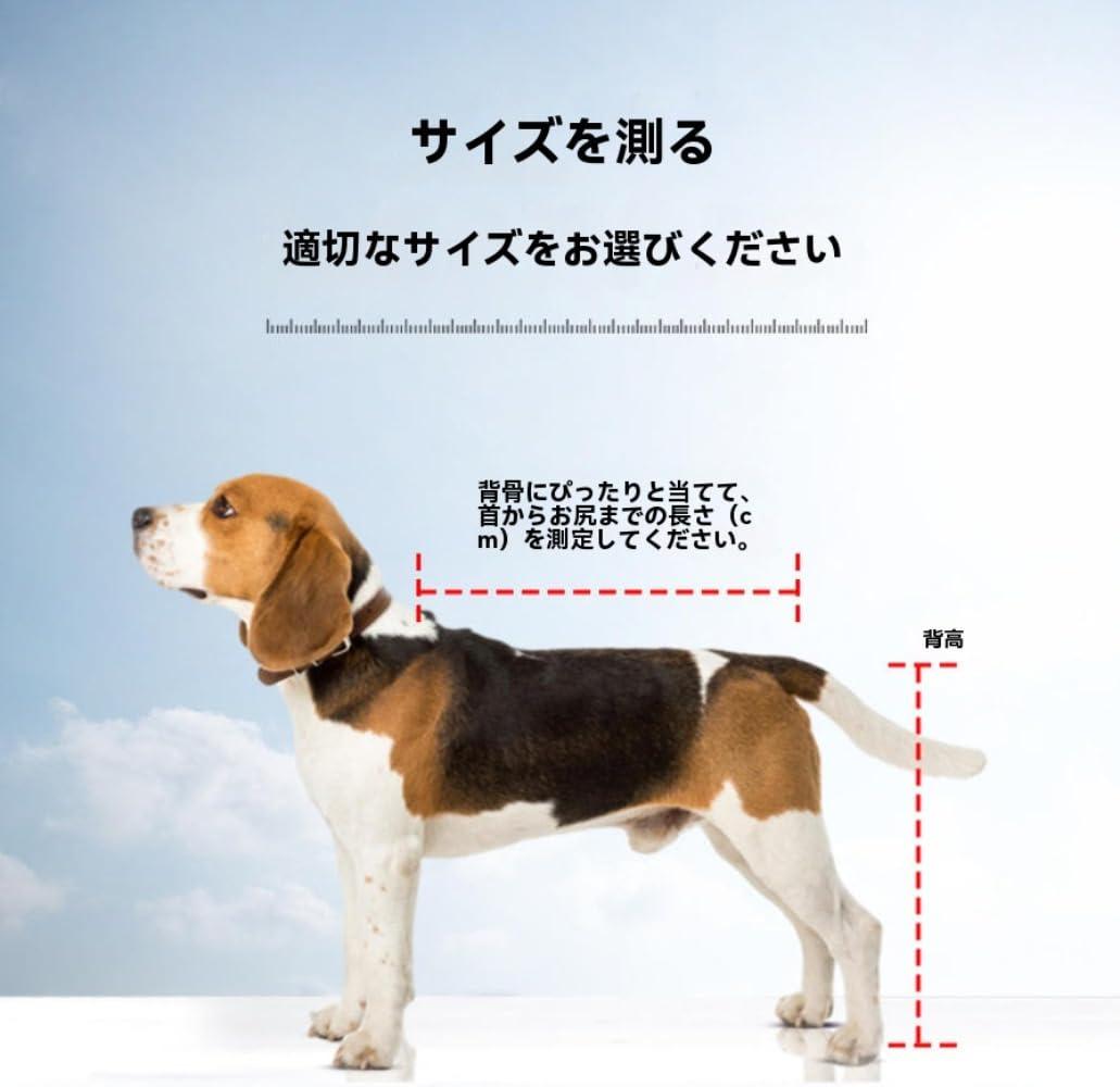 Amazon.co.jp: SIzlaho シニア犬用車椅子、ペット用歩行補助具、ペット