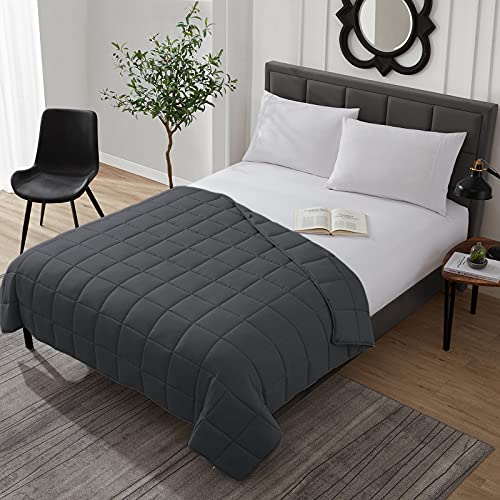 L'AGRATY Weighted Blanket - 36"x48" 5lbs Microfiber Material with Glass Beads Small Blanket for All-Season Summer Fall Winter Soft Thick