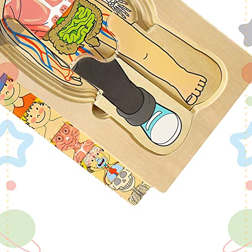 Kidzlane Boy Wooden My Body Puzzle For Toddlers & Kids - 29 Piece Boys Anatomy Puzzle Kid Play Set - Anatomy For Kids, Skeleton Toys For Kids Ages 3 Plus #TOP4