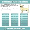 CuteBone Dog Belly Bands for Male Dogs Wraps Washable Doggie Diapers DM07S #5