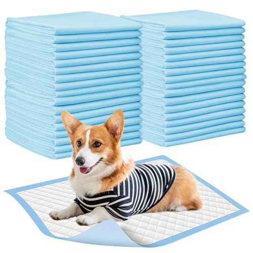 100 Stück PIPI Matten für Hunde, 33x45cm Welpen Unterlagen Trainingspads, Auslaufsicheres 5 Lagiges Design, Super Saugfähige Oberfläche, Welpenunterlagen Einweg für Kranke und Inkontinente Tiere