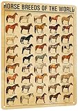 HYBLOM Horse Breeds Of The World Metal Tin Sign - Educational & Retro Farmhouse Wall Art, Vintage Poster for Man Cave, School, Cafe, Home Decor, Gift for Cowboy, 12x16 Inches