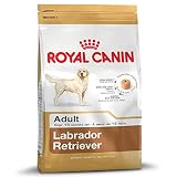 Royal Canin Labrador Retriever Trockenfutter für ausgewachsene Hunde, ab 15 Monaten, 2 x 12 kg