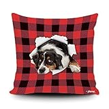 Carreau De Buffle Rouge Et Noir - Chien Berger Australien Taie d'oreiller Rétro Canapé Housses Prime Couvre-Oreillers pour Voiture Jardin Bureau 45X45Cm