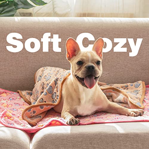 Pet Soft Dog Blankets Medium - Fluffy Cats Dogs Blankets Medium Dogs, Cute Paw Print Pet Throw Puppy Blankets Fleece #TOP6