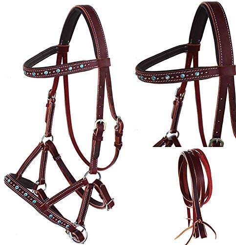 CHALLENGER English Western Horse Leather BITLESS Bridle SIDEPULL REINS Turquoise 77RS05TR-F