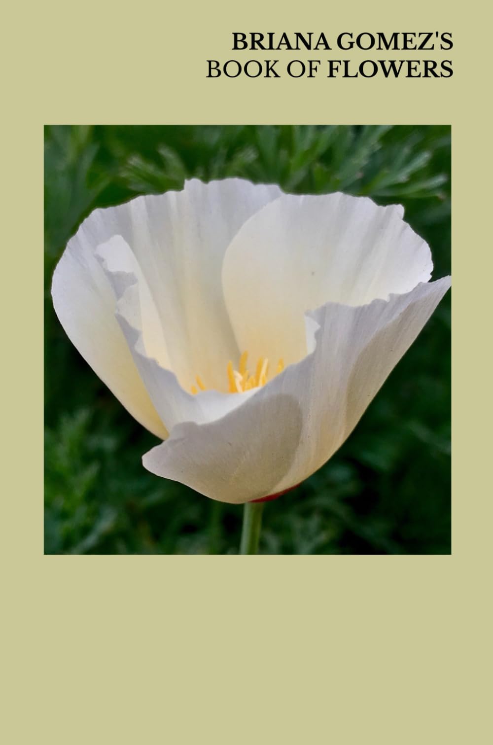 BRIANA GOMEZ'S BOOK OF FLOWERS