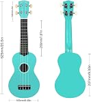 Ukulélé en Bois Soprano POMAIKAI Arc-en-Ciel Uke Hawaïen 21 pouces pour Débutants et Étudiants (Bleu Clair)