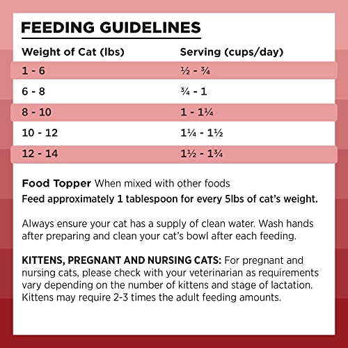 Bixbi Rawbble Freeze Dried Cat Food, Beef Recipe, 10 Oz - 97% Meat And Organs, No Fillers - Pantry-Friendly Raw Cat Food For Meal, Treat Or Food Topper - Usa Made In Small Batches #TOP6