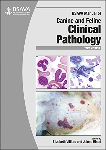 BSAVA Manual Of Canine And Feline Clinical Pathology 
