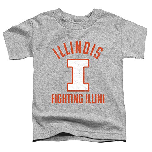 University of Illinois Official