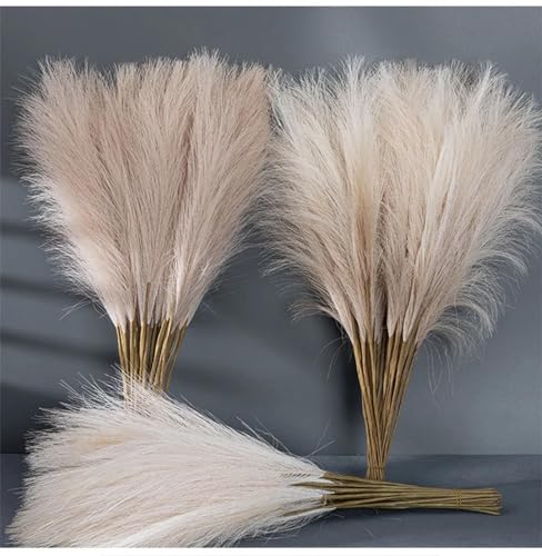 Decoración Boho Pampas Grass 20 Piezas 42 cm miniatura 3