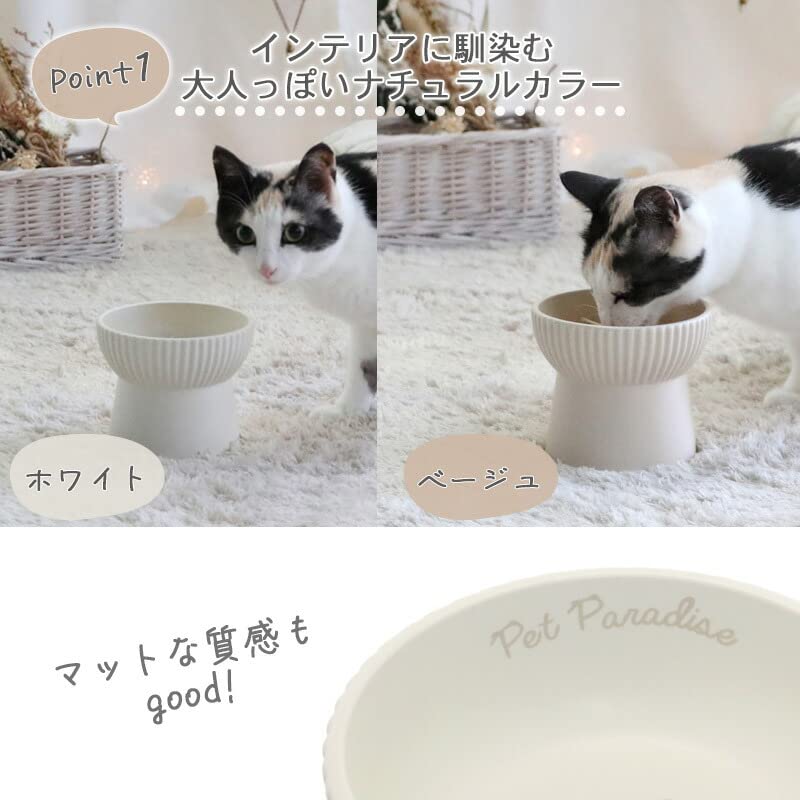 Amazon | ペットパラダイス 猫 フードボウル 陶器 斜め ホワイト 白