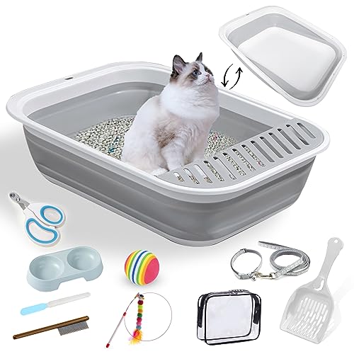 10 Best Cat Litter Box For Kittens Of 2023 Glory Cycles