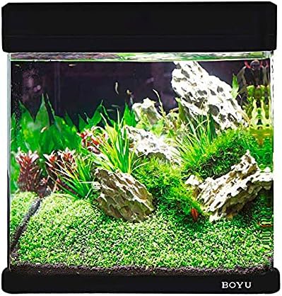 Boyu - Aquário Curvo Ec-600 66L Preto 220v