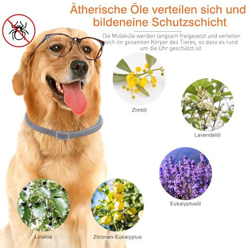 DEWEL 63,5cm Zeckenhalsband für Hunde Katze, Verstellbar Hund und Katze Flohhalsband, Wasserdicht Anti-Zecken und Flöhe