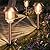 XMCOSY+ Solar Pathway Lights Outdoor - 6 Pack Solar Lights Outdoor Waterproof, 10-40 LM Dimmable Auto On/Off Solar Outdoor Lights Yard Garden Walkway Driveway (Warm White)
