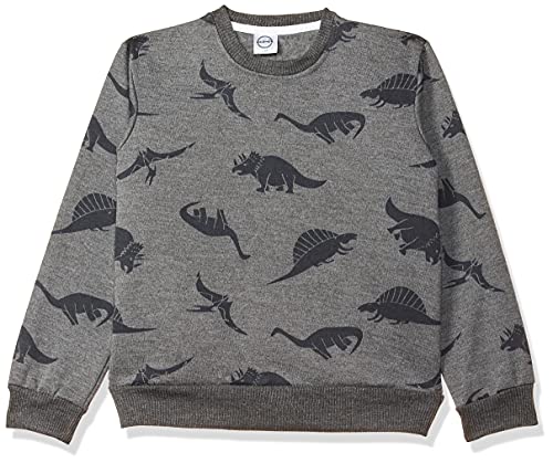 Image of Gubbarey Boy's Fleece Sweatshirt (SSB1071-1100 Light Grey 5-6 Years)