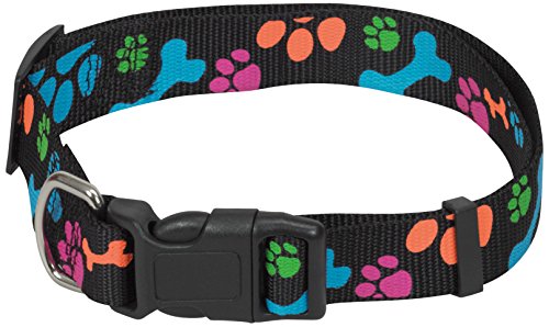 CHAPUIS SELLERIE SLA472 Collare Regolabile per