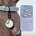 Eeejumpe Coastal Pet Products DCP45105 3-Pack Li'l Pals Round Dog Bells, 1/2-Inch, Silver