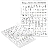 Palace Learning Labor & Birthing Positions Tearsheet Handout - Childbirth Education for Doula, Midwife or Birthworker - Set of 100-8.5" x 11"