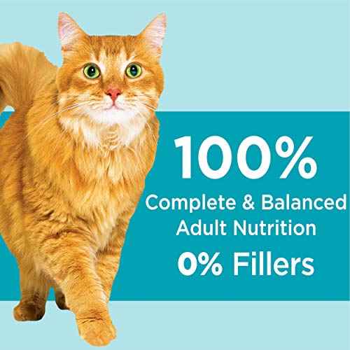 Best Cat Food For Overweight Indoor Cats in 2022 (with Reviews)