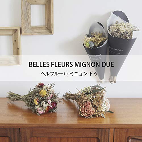 Bellefleur Mignon de Anafaris Flores Secas Magnéticas miniatura 2
