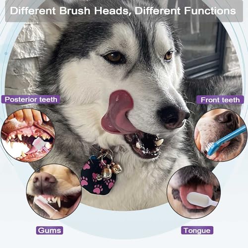 Image of Dog Toothbrush Set,Finger Rubber Toothbrushes /Double Head Pet Tooth Brush /Triple Head Dog Toothbrushes /360º Cat Toothbrush /Multi-Angle Dental Cleaning Brushes Kit for Puppy Kitten Oral Hygiene,8 Pack