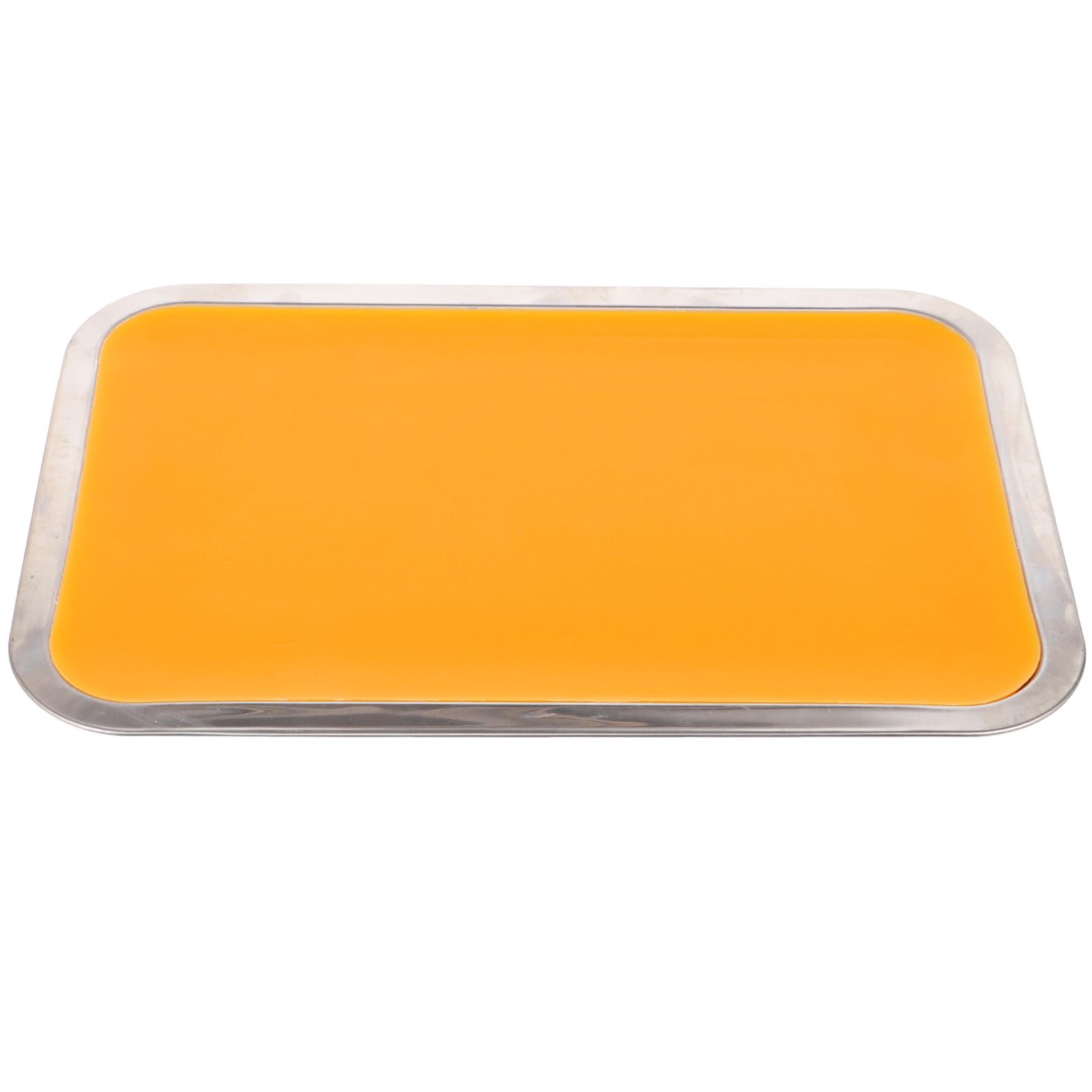 Vassoio per Dissezione in Cera in Acciaio Inossidabile Leggero e Sicuro, Dimensioni 21x31 Cm, per Taglio Carta e Scopi Didattici