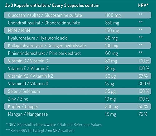 orthobiotix joint formula - mit Glucosamin, Chondroitin, MSM, Hyaluronsäure und 10 weiteren Nährstoffen - 90 Kapseln hochdosiert