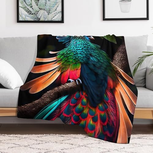 Manta de forro polar suave Hahn 130x150 cm para sofá y cama 3