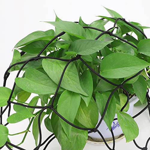 Gukasxi Grow Tent Netting, Elastische Trellis Netting met 4 haken, Plant Support Net voor Groenten Fruit Bloemen, Nylon… - Image 8