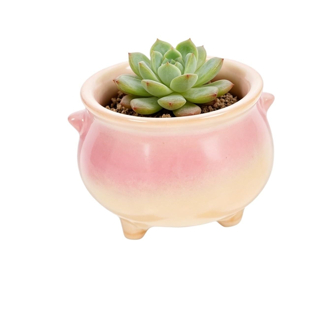 MDNIPQBAM natural Ceramic Pots With Drainage Hole Decorative Flower Planters For Indoor Succulent Plants for garden(B)