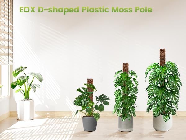 Miniatura 7 de EOX Paquete de 6 postes de musgo de plástico de 24 pulgadas x 2 + 36 x 2 + 48 pulgadas x 2 para Monstera, postes grandes en forma de D para plantas