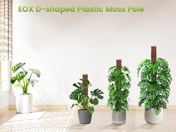 EOX 6 Pack 24" x2 + 36" x2 + 48" x2 Plastic Moss Pole for Monstera, Large D Shaped Poles for Climbing Plants Work with Sphagnum Moss, 210 Inch Total by EOX - Image 6