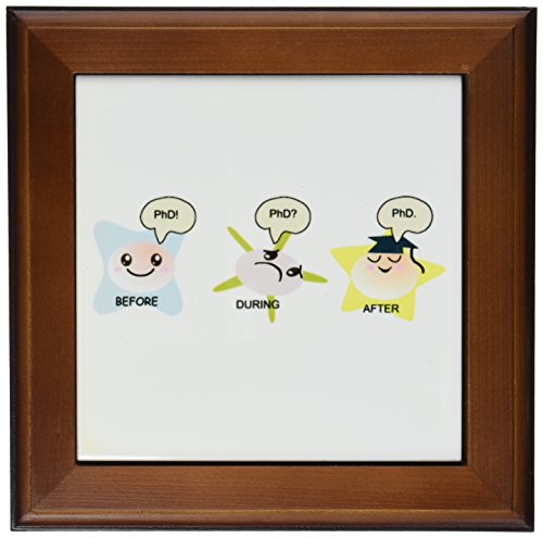 3dRose ft_165150_1 PhD Funny Process Cartoon Before During After Humorous Graduation Gift-Framed Tile Artwork, 8 by 8-Inch