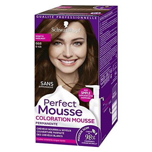 Perfect Mousse Coloration N°668 Noisette lot de 3 colorations texture mousse sans ammoniaque
