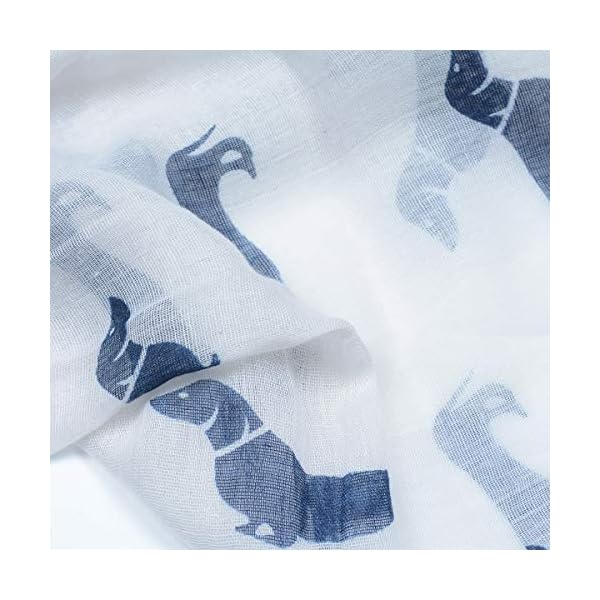 ISOCUTE Winter Scarf for Women Butterfly Fashion Light Weight Summer Hair Neck Ladies Warm Scarfs White Black - Image 6