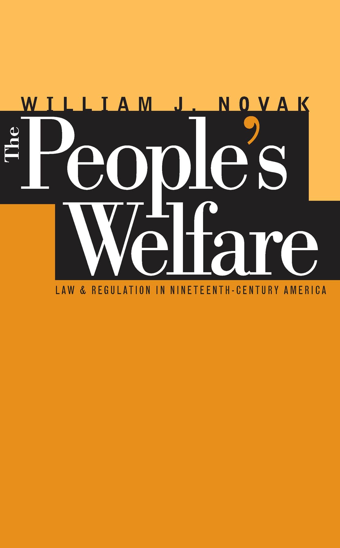 The Peoples Welfare  Law and Regulation in by William J. Novak PAPERBACK