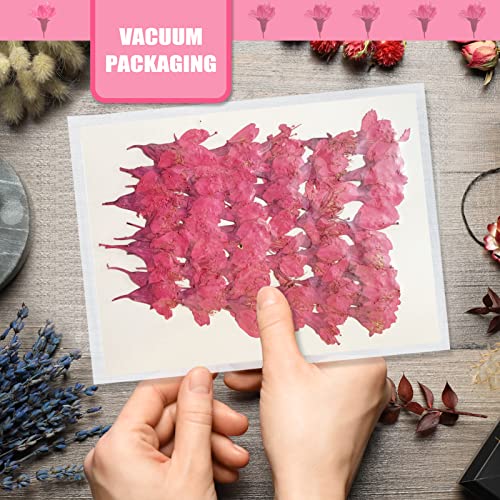 Flores secas de cerezo rosa intenso para manualidades 60PCS miniatura 7