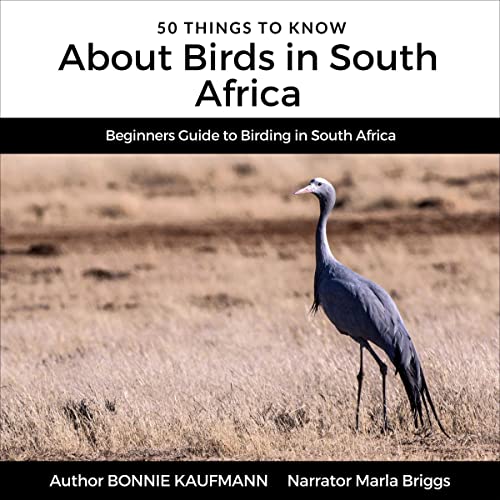50 Things to Know About Birds in South Africa: Beginners Guide to Birding in South Africa by Bonnie Kaufmann episode artwork