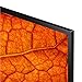 LG 32LM637BPLA 2021 - Smart TV LED HD 81 cm (32") con...