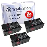 ✅ 𝐖𝐄𝐑𝐊𝐙𝐄𝐔𝐆-𝐀𝐊𝐊𝐔: Li-Ion Akku 36V / 6000mAh, aus hochwertigen A-Grade Qualitätszellen