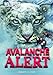 Avalanche Alert (Wild Rescue)