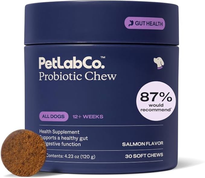 51tmVE80WML. AC SX679