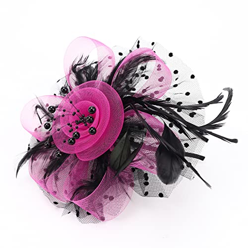 Image of DRESHOW Fascinators Hat Flower Mesh Ribbons Feathers on a Headband and a Clip Tea Party Headwear for Girls and Women