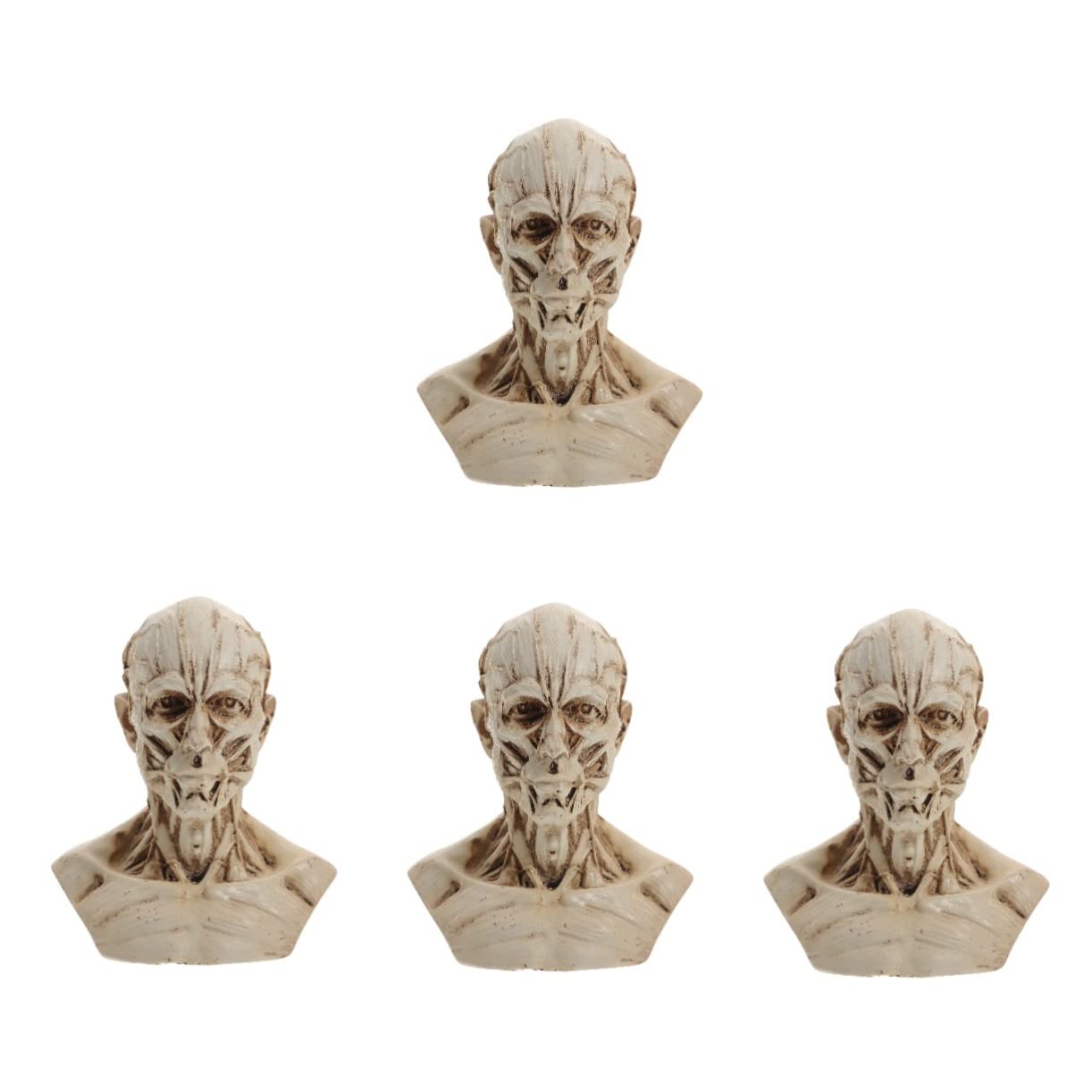 Modelo de boceto de anatomía para mesa de dibujo y decoración de estudios artísticos