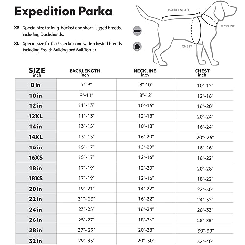 The Best Dog Coat For Vizsla Dogs [2023 Guide And Reviews] It's A Vizsla